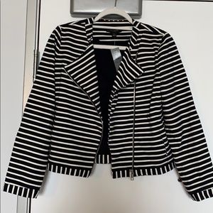 Ann Taylor Petite Navy Blue & White Blazer